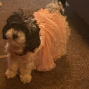 Thursday Dress Train!!!